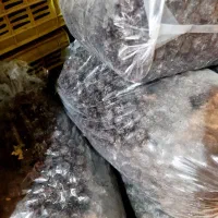 آلوچه سیاه مراغه|خوردنی و آشامیدنی|سراجو, |دیوار