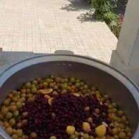 لواشک خانگی وارگانیک
