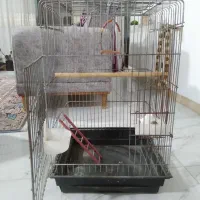 قفس ضخیم کاسکویی دوتاش۶۵۰/۰۰۰تومان