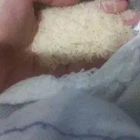 برنج هندی|خوردنی و آشامیدنی|سبزوار, میدان بار|دیوار