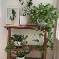 استند چوبی سه طبقه|کتابخانه، شلف، قفسه‌های دیواری|تهران, اتابک|دیوار