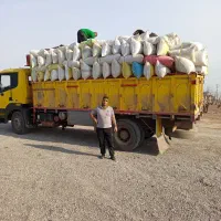 خاردانه دار،خارشتری،خارسبزنرم،خار
