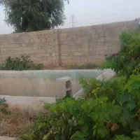 باغ شهری  شیراز۱۲۵۰ متر مربع شیراز|فروش زمین و ملک کلنگی|شیراز, محمودآباد|دیوار