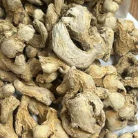 فروش عمده زردچوبه قلم هندی و انواع ادویه|خوردنی و آشامیدنی|تهران, منصوریه (پل سیمان)|دیوار