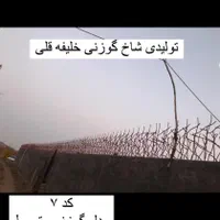 تولید نرده حفاظ شاخ گوزنی خلیفه قلی|مصالح و تجهیزات ساختمان|قم, میرزائیه|دیوار