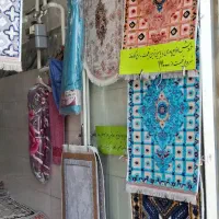 انواع پادری و نم گیر|پادری|اردبیل, |دیوار