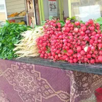 فروشنده خانم