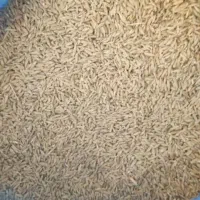 فروش جو دیم تمیز پاک به شرط