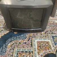 تلویزیون 21 اینچ|تلویزیون و پروژکتور|زاهدان, |دیوار