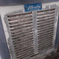 کولرابی
