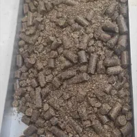 کنجاله کلزا