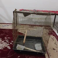 قفس پرنده