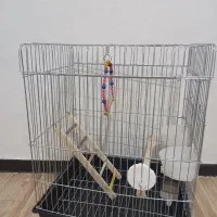 قفس پرنده