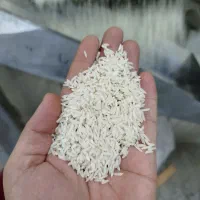 برنج صد درصد هاشمی گیلان|خوردنی و آشامیدنی|اسلامشهر, زرافشان|دیوار