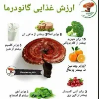 قهوه گانودرما(سوپریم موکا لاته،‌هاتچاکلت،ماسالا)|خوردنی و آشامیدنی|شیراز, فرهنگ شهر|دیوار