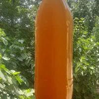 سرکه سیب