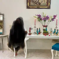 میز کاملا سالم میز ۶نفره