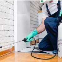 سمپاشی علیه حشرات،سمپاشی ۱۰۰درصد تضمینی