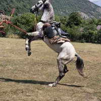 فروش-زمین-دهکده-تفریحی-توریستی-زانوس-کندلوس