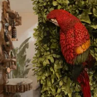 ۳ نفر خانم برای کافه شیفت شب ساعت ۲۰ الی ۲۴