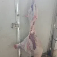 قصابی لحظه ای|خوردنی و آشامیدنی|بهبهان, |دیوار