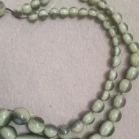 سندلوس چشم‌دار سلطنتی