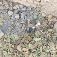 ابپاش باغچه ای|ابزارآلات|گندمان, |دیوار