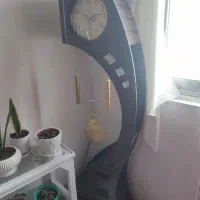 ساعت ایستاده سالم