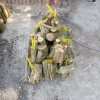 هیزم بسته بندی شده