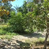 به یک کارگر جهت کار در باغ نیازمندیم