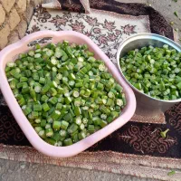 بامیه خشک|خوردنی و آشامیدنی|پیر سلیمان, |دیوار