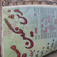 فرش|فرش|شیراز, محراب|دیوار