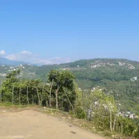 زمین تکرارنشدنی /دریا و جنگل با هم /آرامش ابدی