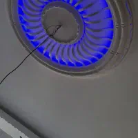 گچکاری با قیمت مناسب