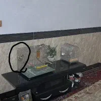 سهره جفت