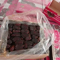 خرما تازه|حراج|بانه, |دیوار