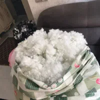 الیاف خارجی