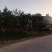 فروش یا معاوضه باغ|فروش زمین و ملک کلنگی|فریدونشهر, |دیوار