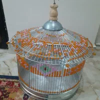 قفس پرنده نو