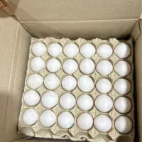 تخم مرغ|خوردنی و آشامیدنی|بومهن, |دیوار