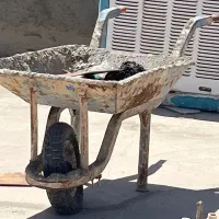 فرغون