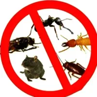 سمپاشی  تمام حشرات موذی در یک مرحله بدون بازگشت.