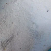 تائید 4/5کیلویی 180تومان|مواد شوینده و دستمال کاغذی|جهرم, |دیوار