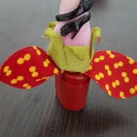 گیفت یلدایی همراه با انگشتر وهدیه کوچک فقط۶۰تومن