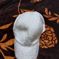 پالتو