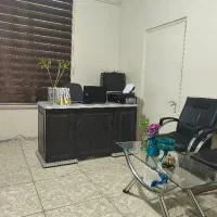 منشی و اپراتور تلفنی خانم