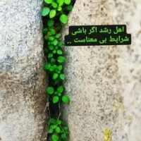 فروش زمین مسکونی