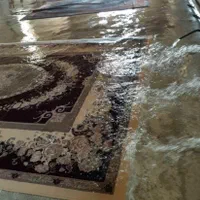 قالیشویی پیشرفته * پاک *100در صد تضمینی *|خدمات نظافت|دزفول, |دیوار