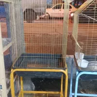 فروش انواع قفس