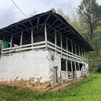 450-مترخانه-تالار-دار-با-انشعابات-قطعه-یک-جنگل